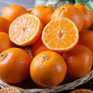 (당도선별 11brix 이상] 하우스 비가림 타이벡 제주 귤 감귤, 1개, 타이벡 감귤 5kg(2L-L)