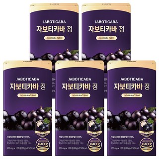 자보티카바 정 Jaboticaba, 5개, 120정