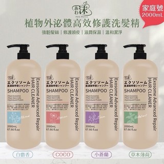 あわ松 Awa Matsu 植物外泌體高效修護洗髮精 2000ml Coco香氛 頭皮調理, 1件, 植物外泌體 Coco洗髮精, 2kg