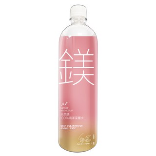許維恩推薦 天然鎂100%海洋深層水850ml(20瓶/箱), 1套, 850ml