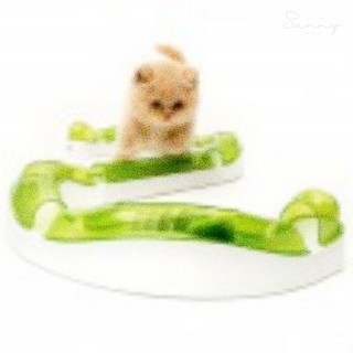 리치썬샵 캣잇 고양이 센시스 2.0 웨이브 서킷 웨이브서킷, 1개