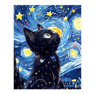 手繪數字油畫 客廳裝飾 星空黑貓創意DIY, 1個, YW-2958-30X40,【滿鑽圓鑽】30X40