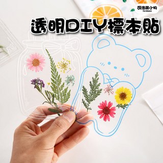 透明DIY標本貼 旅遊戶外教學親子互動, 1個