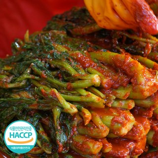 톡쏘는 알싸한 맛 여수 갓김치 전라도 대표 별미 갓김치, 10kg, 1개