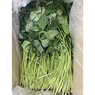 [봄향기 가득] 향긋한 봄나물 참나물, 1박스, 1kg