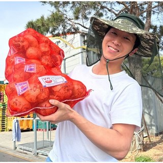 최상급 양파 햇양파 무안 [원산지: 국산], 1개, 양파 5kg (특)