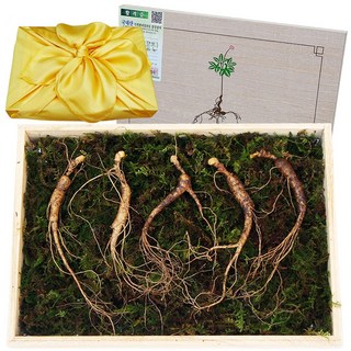 아리아리산삼 6년근 8년근 10년근 산삼 산양삼 장뇌삼 산양산삼 장뇌 자연산 주 설 추석 선물세트, 1개, 선택9. 10년근 5뿌리