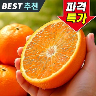 [파격특가] 제주 카라향 상큼꿀맛 초고당도, 1박스, 10kg