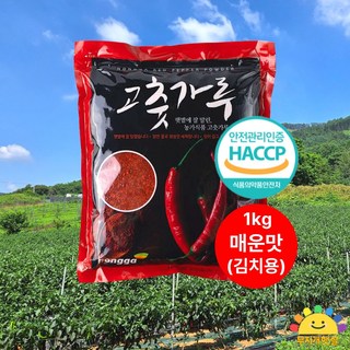 25년 햇고추 국산 청양 고추가루 1kg 매운맛 김치용, 1개