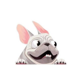 鬥牛犬造型反光貼紙 搞笑創意汽車後窗裝飾貼花 防水車身貼紙, A款白色22*16cm, 1個