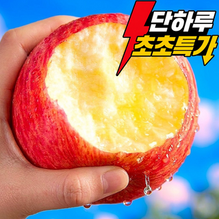 [단한루초특가] 50박스한정 초고당도 못난이사과 초특가, 1박스, 5kg