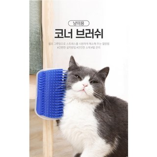 고양이 전용 부착용 코너 브러쉬 블루컬러, 1개