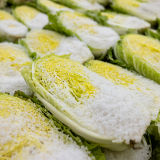 강원도 영월 절임배추 20kg 국산 절인 김치 산지직송 김장용, 주문일 당일절임 익일발송, 1박스