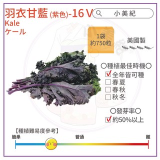 【小美紀】優質 種子(園藝植作)甘藍 四季豆 甜碗豆 蘿蔔 紅蘿蔔 花苗 土壤種植 蔬菜 盆栽 短期種子 介質花卉 肥料, 1個, 16V 羽衣甘藍-約750粒