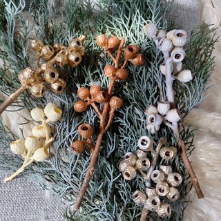 貝爾果好朋友 琥珀果 果實 松果材料 聖誕花圈素材 DIY裝飾材料包, 太妃糖金6個,有枝條/單純果實-隨機出, 1個