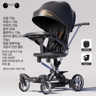 파워쇼퍼 전동유모차 탑승 2인용 푸쉬카 전동, B