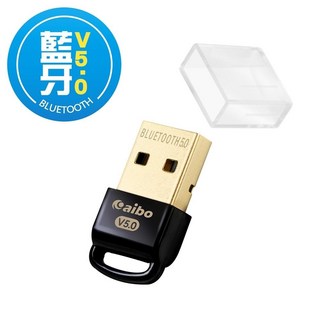 YoYo 3C Bluetooth V5.0 (附防塵蓋) 藍芽接收器, 1個