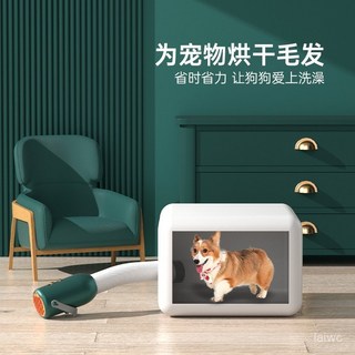 廠家直發寵物烘幹箱烘幹機吹水機家用小型貓咪狗狗洗澡吹毛吹幹神器吹風箱 MGJJ, 檸檬黃（產品不帶烘乾箱子）,國內, 1個