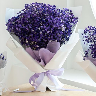 COCODOR 珂珂朵爾 永不凋謝鮮花 永生滿天星花束 大尺寸, 紫色