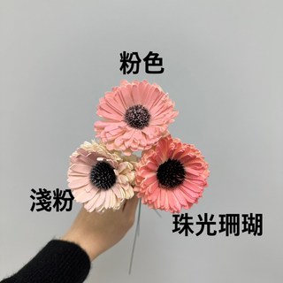 *花藝夢 百日菊索拉 6公分 "單支販售" 太陽花 向日葵 擴香花 畢業花束 乾燥花 永生花 不凋花 乾燥花, 淺粉