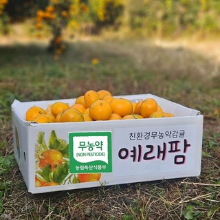 예래팜 제주감귤 친환경 무농약귤 고당도 조생노지귤, 1박스, 3kg(로얄과혼합)