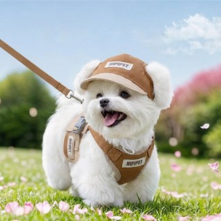 Tinduo 강아지옷 H형 하네스 외출용 리드줄 모자 애견옷 세트 중소형견용 고양이 겸용 반려동물용품, 브라운, 1개