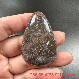 珊瑚玉菊花石吊墜 D56 全透光 55.4*35.9*10.2mm