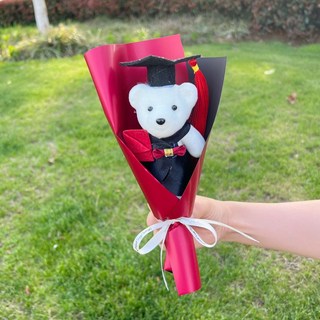 嗨購 畢業禮物 學士熊博士熊花束 太陽花 學校活動禮物 拍照畢業典禮博士熊卡通小花束, 紅色+博士熊, 1個