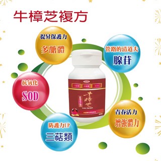 天地人極品牛樟芝60粒 濃縮複方 三萜 多醣體 長輩保健, 1個, 1瓶