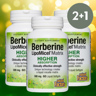 고약사 베르베린 리포미셀 효능 영양제 500mg 60정 (2+1), 3개
