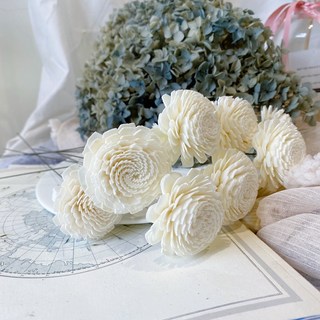 索拉玫瑰捧花 日本進口太陽玫瑰 索拉花 通草花 /婚禮/手作素材/攝影道具/新娘捧花/新娘頭圈客製, 4cm-1朵, 1個