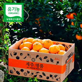 농장직송 껍질째 먹는 제주 유기농 감귤, 1박스, 유기농 감귤(꼬마/중대과 혼합) 9kg