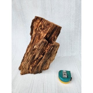 【十木工坊】奇木4.台灣檜木紅檜創作材, 1個