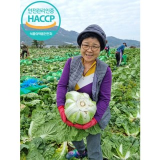 (HACCP인증) 국내산 해남 절임배추, 바로출고,또는 기타, 1박스, 20kg