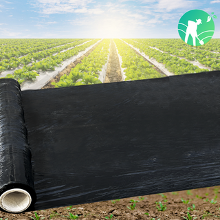 멀칭비닐 검정 0.02 x 100cm x 200m 무공 마늘 양파 농산물 농업용 필름 텃밭 주말농장 흑색, 1개