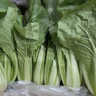통째로팜 국내산 얼갈이 배추 4kg 박스, 1박스
