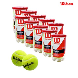 윌슨 챔피언쉽 캔볼 10캔 20구 테니스 볼 테니스공, 10개