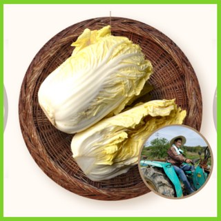 절임배추20KG 절인배추 황금배추 삼봉농산, 3, 1박스, 40kg