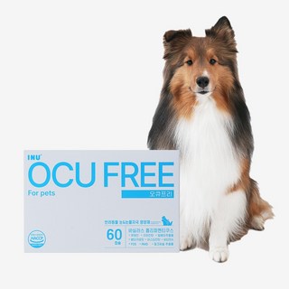 아이누 오큐프리 눈 영양제 아이즈 눈물자국 눈꼽 냄새 제거 강아지 고양이 60캡슐, 1개, 눈물개선/눈건강, 60정
