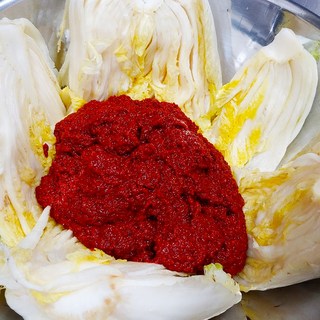 전라도 김치담기세트 김장세트 10kg (절임배추7kg+양념3kg), 1박스, .