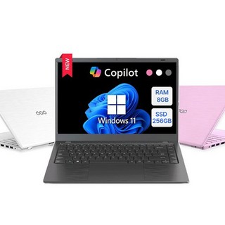 다오북 14인치 1.32kg N100 윈도우11 탑재 컬러 노트북, 다크 그레이, 14-N100BCG, 256GB, 8GB, WIN11 Home