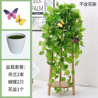 【Sunday】仿真綠蘿壁掛 客廳綠植裝飾 垂吊塑膠假花藤條 室內植物綠葉藤蔓吊蘭盆栽 黃金葛過膠壁掛, 盆栽綠蘿+蝴蝶2只, 1個
