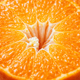 [프리미엄] 오늘수확 제주직송 초고당도 레드향, 1박스, 2kg