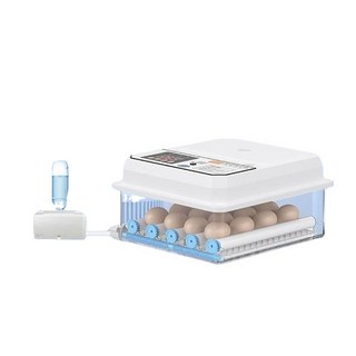 智能孵蛋機 12顆蛋容量 自動控溫 自動翻蛋, 1個