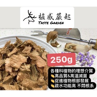 【植感蕨起】椰纖椰子纖塊 疏水透氣高溫殺菌 鹿角蕨蘭花上板自然介質蕨類爬蟲, 1個