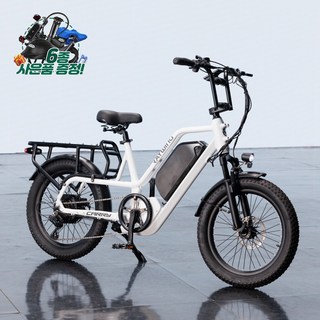 레이윙 캐리 48V 500W 전기자전거 배달용, 펄 화이트, 알루미늄 합금
