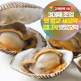 [겁나게맛있꼬막] 삼시세끼연구소 쫄깃함 폭발하는 햇 벌교 꼬막 새꼬막, 10kg(소) 내외, 1개