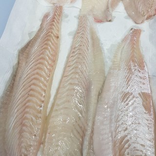 국내산 다시마숙성 대광어, 2개, 200g