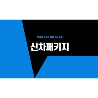 김포 카니발 신차패키지, 1개, 상세참조