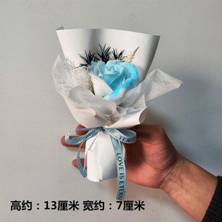 迷你口袋永生玫瑰乾燥花束：玫瑰向日葵仿真花伴手禮生日禮物裝飾, 浪漫迷你口袋花14款
